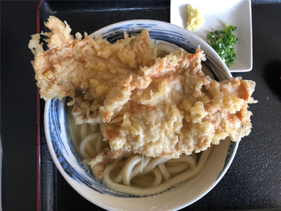 Japanese Udon noodle