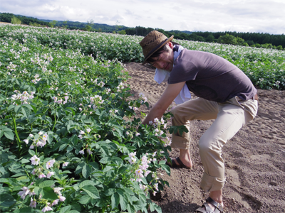 Agriculture experieince